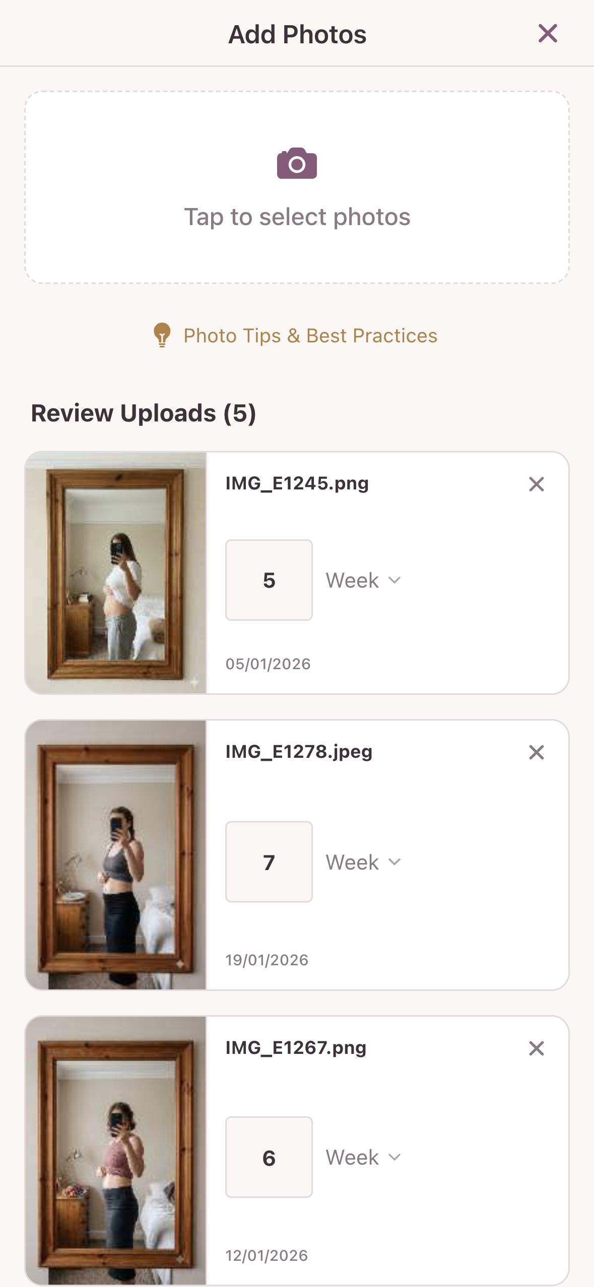 Export Pregnancy Journal PDF and Share Milestones