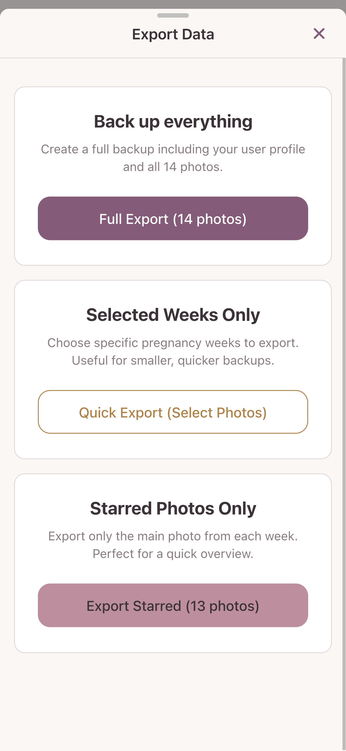 Privacy-First Offline Data Storage Security