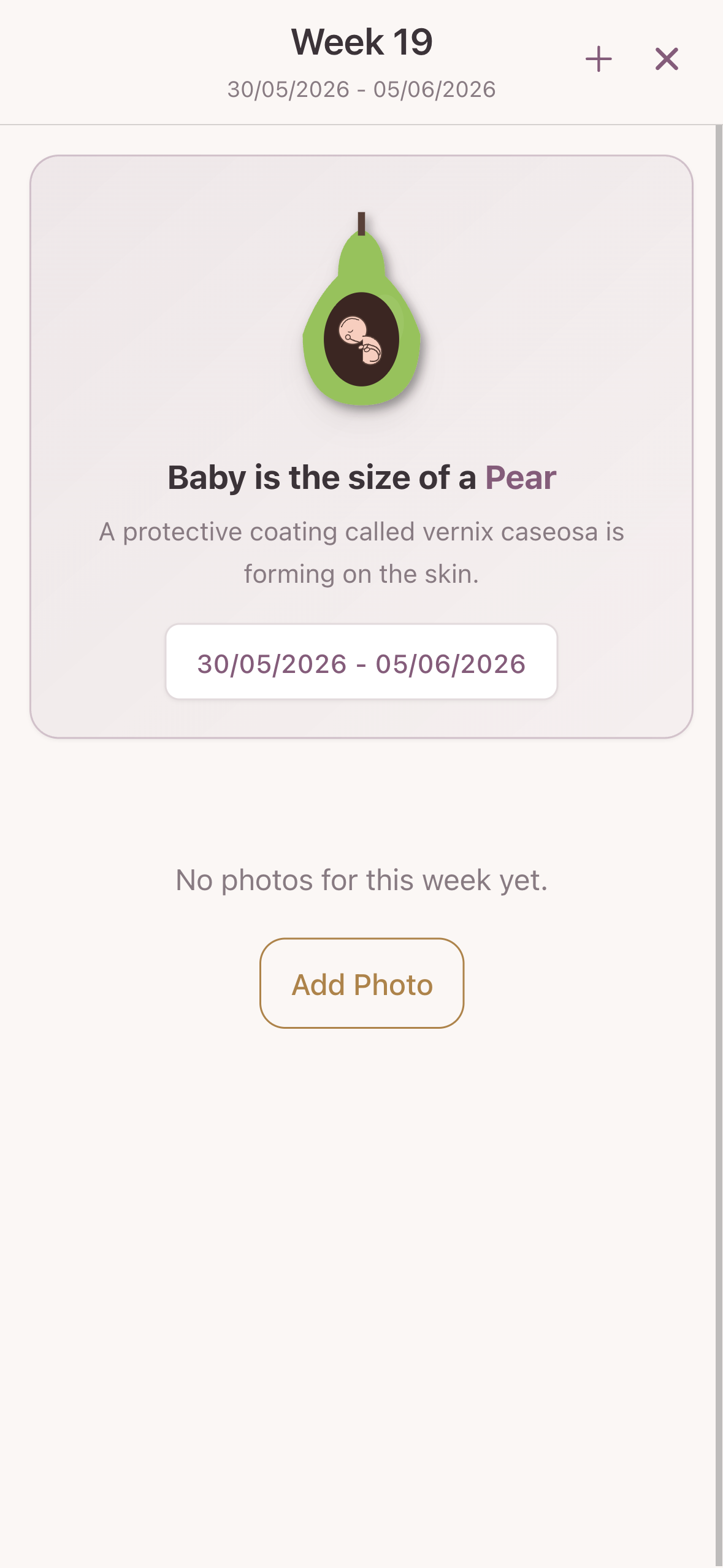 Weekly Baby Size Comparison Guide