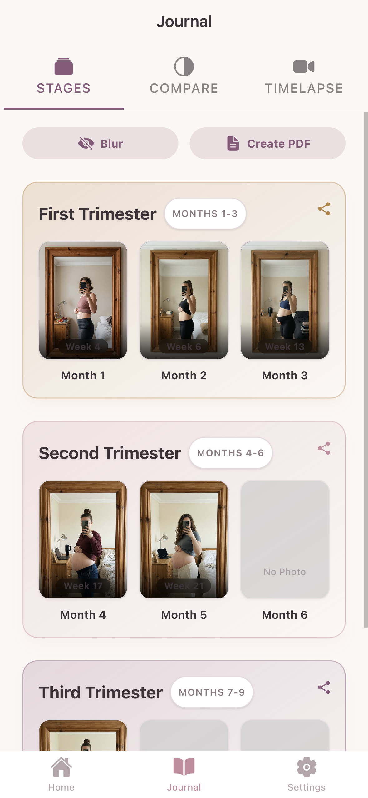 Visual Week-by-Week Pregnancy Journal Timeline